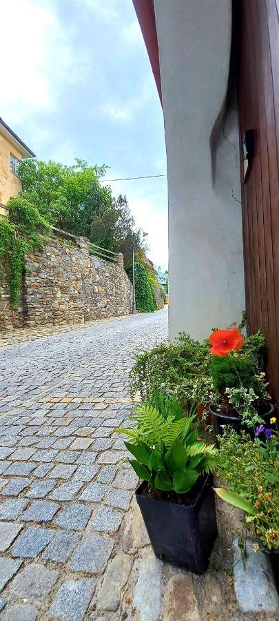 Penzion Merlin Český Krumlov Dış mekan fotoğraf