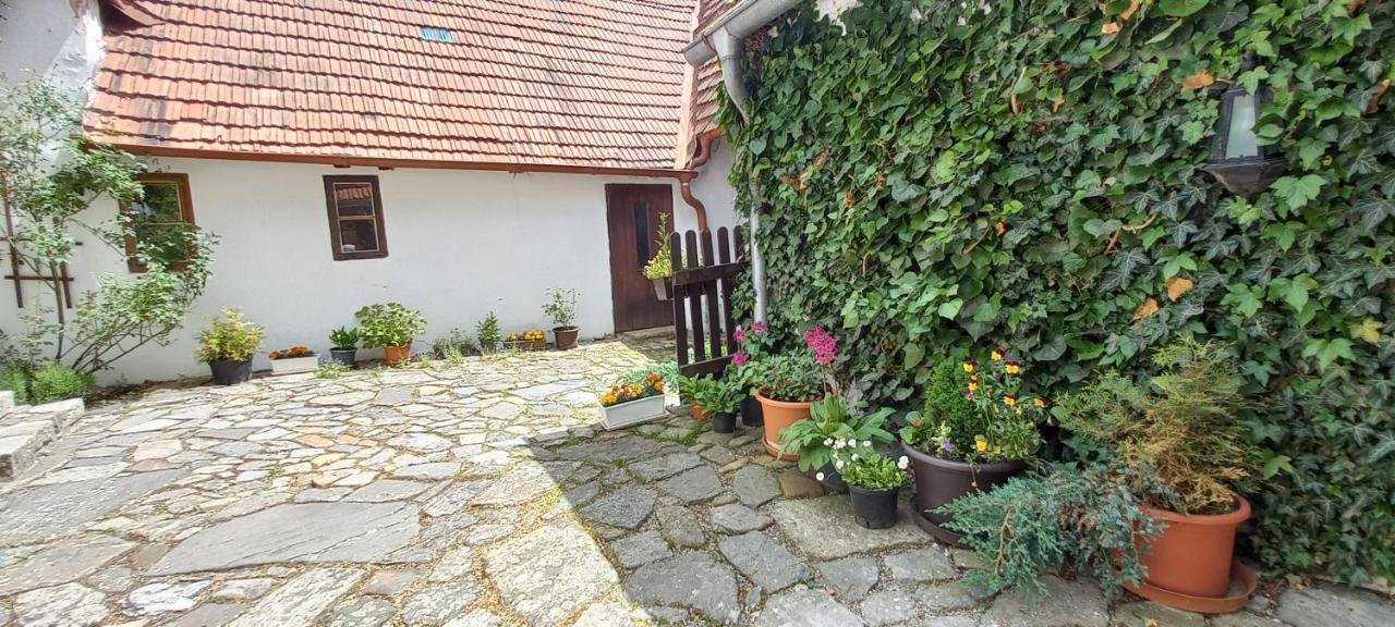 Penzion Merlin Český Krumlov Dış mekan fotoğraf